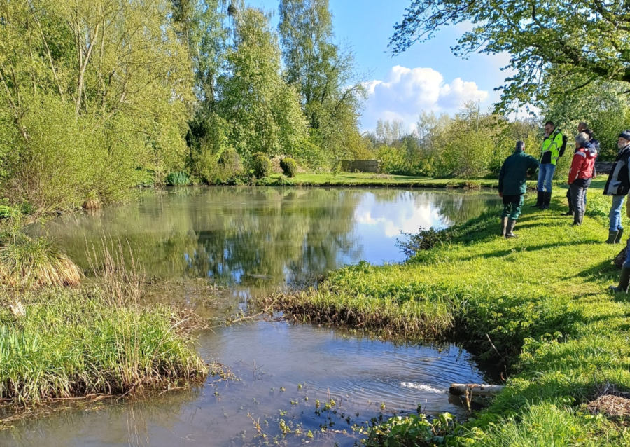 Bei der Gewässerschau 2025 wurde u.a. das Gewässer „Breites Wasser“ besichtigt. Foto: Kreis Lippe