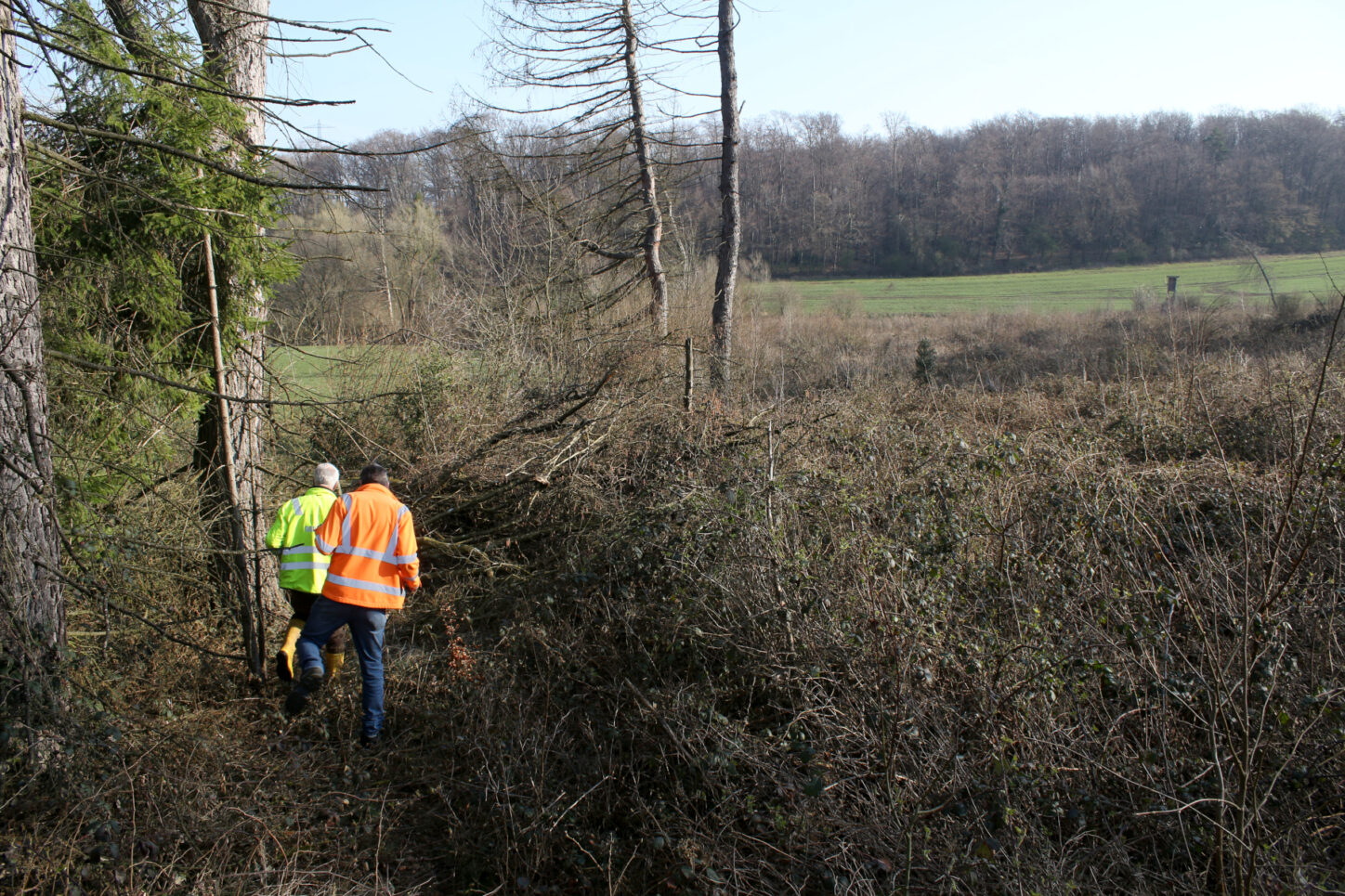 Rainer Loer und Jörg Langmann kämpfen sich durch Unterholz und Dornengestrüpp. Foto: Thomas Dohna
