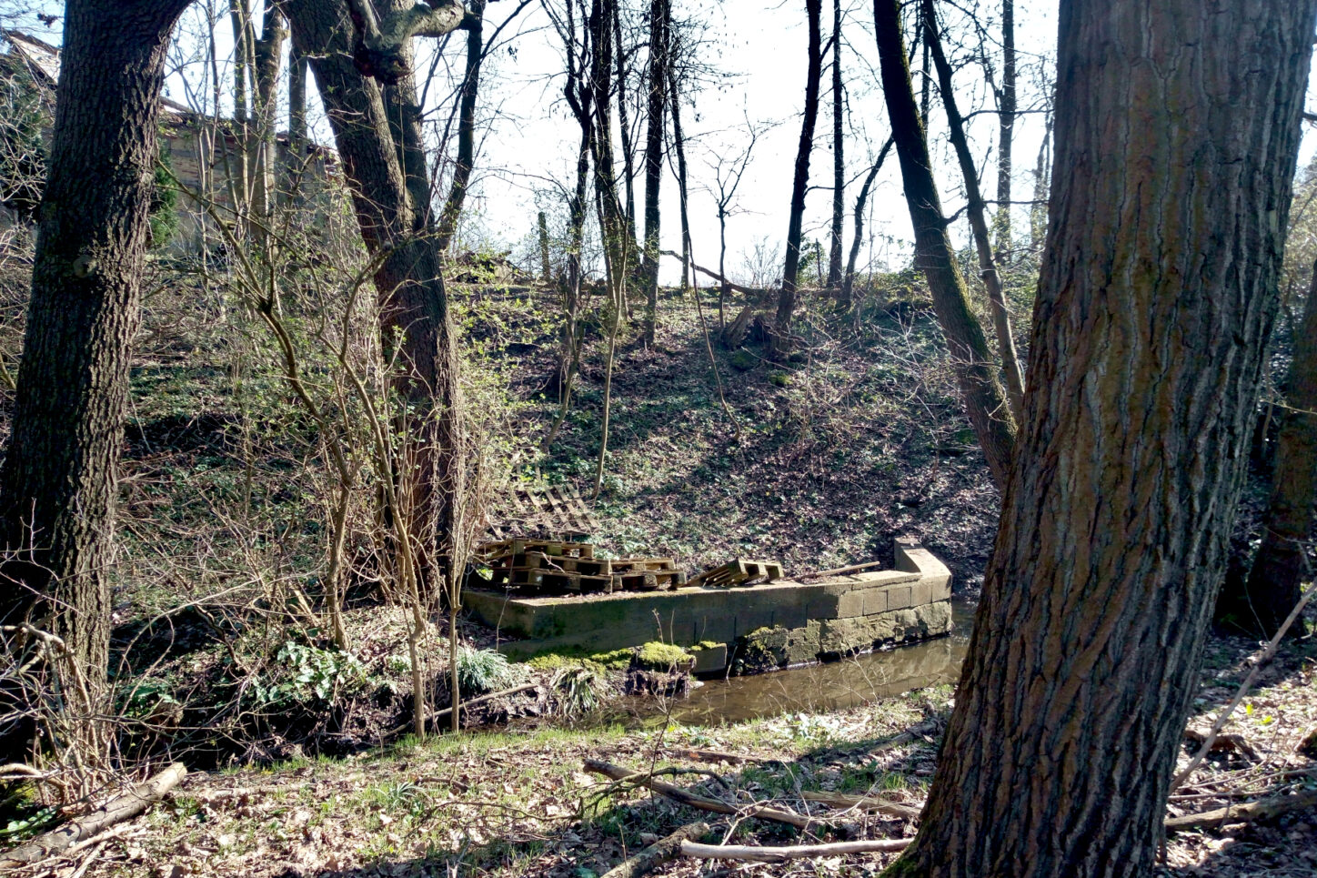 Kurz vor der Straße An der Windwehe steht ein Bauwerk im Sussieksbach, mit dem Wasser in einen Teich abgeleitet wird. Foto: Thomas Dohna