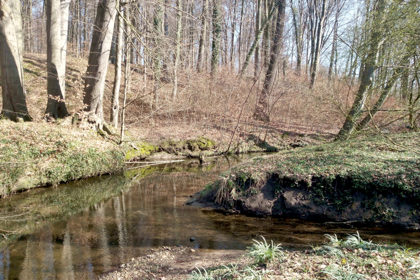 Der Sussieksbach mündet in die Windwehe. Foto: Thomas Dohna
