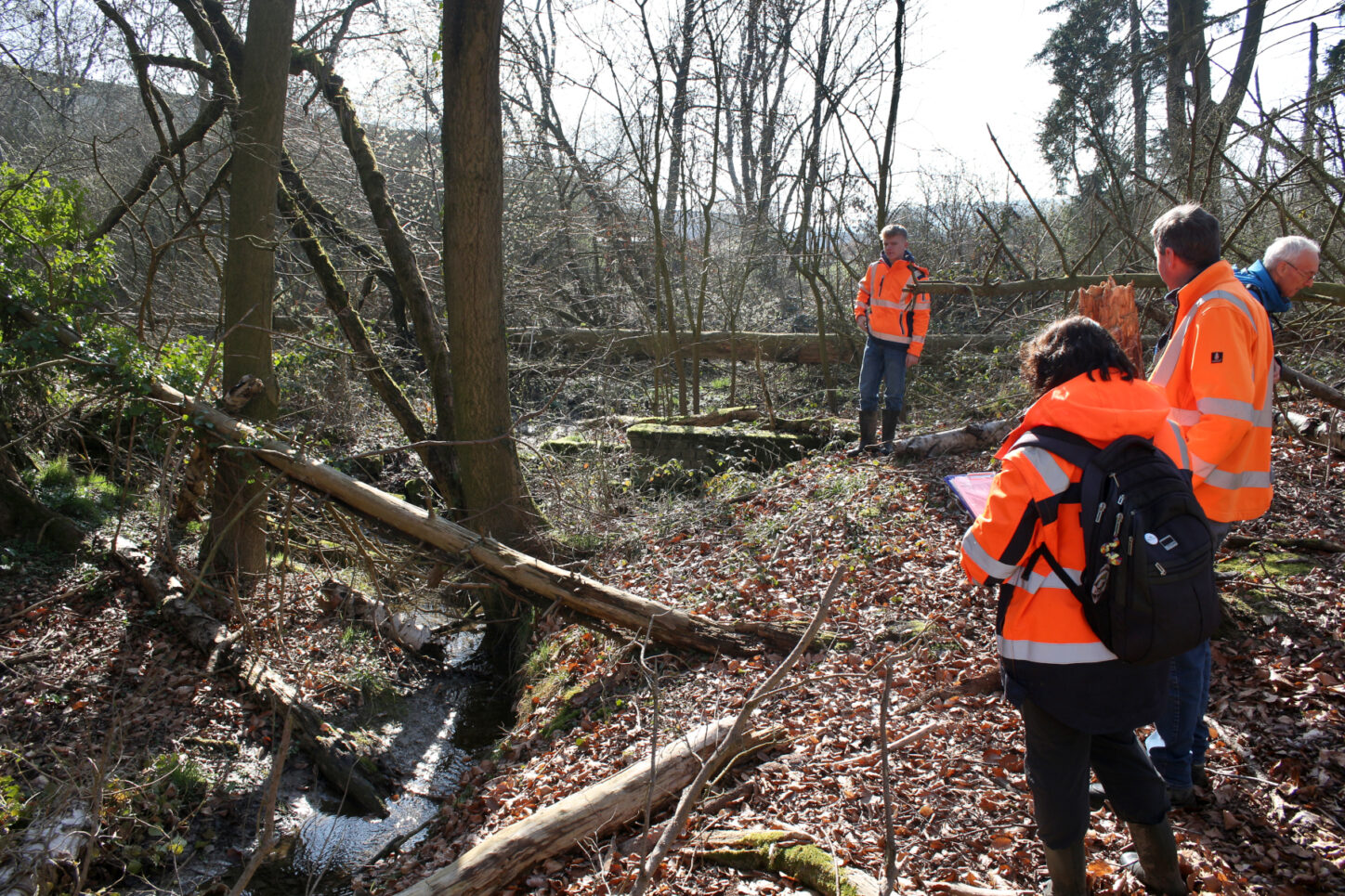 Einst war hier ein Bauwerk im oder über den Bach. Die Steine müssen weg. Foto: Thomas Dohna