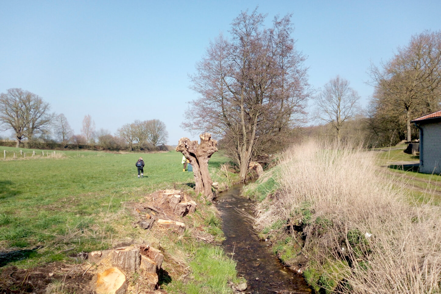 Am Hof Glietz fließt der Bach ungehindert durch die Wiesen. Foto: Thomas Dohna