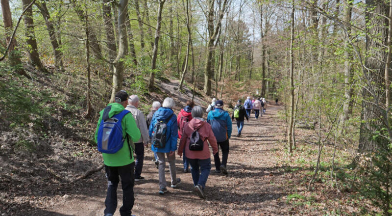 Die Wandergruppe des Haimatvereins bei ihrer ersten Wanderung in diesem Jahr auf dem Residenzweg in Pivitsheide. Foto: Privat