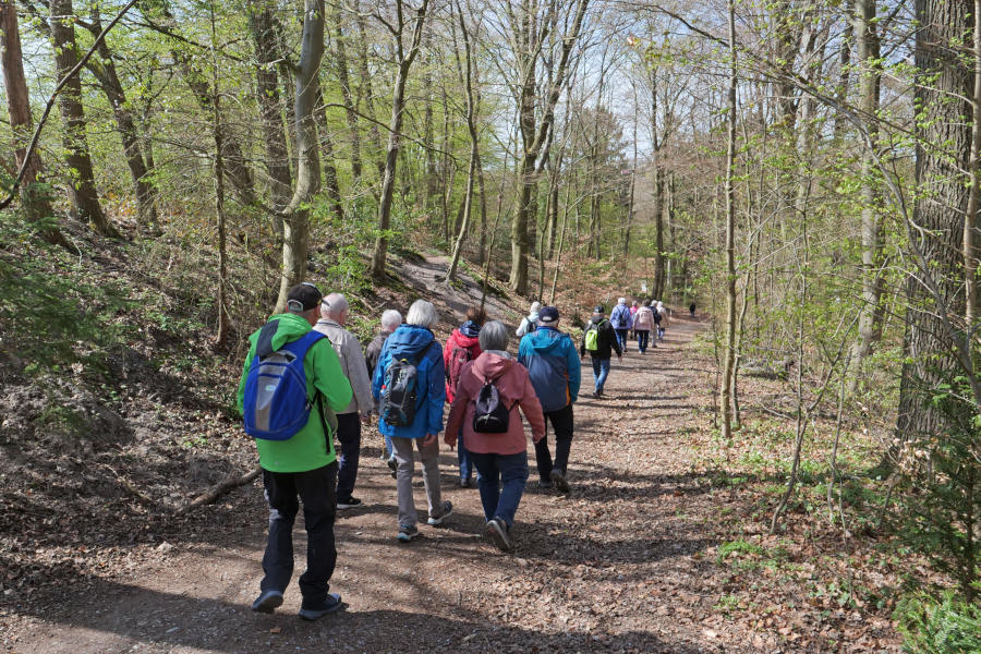 Die Wandergruppe des Haimatvereins bei ihrer ersten Wanderung in diesem Jahr auf dem Residenzweg in Pivitsheide. Foto: Privat