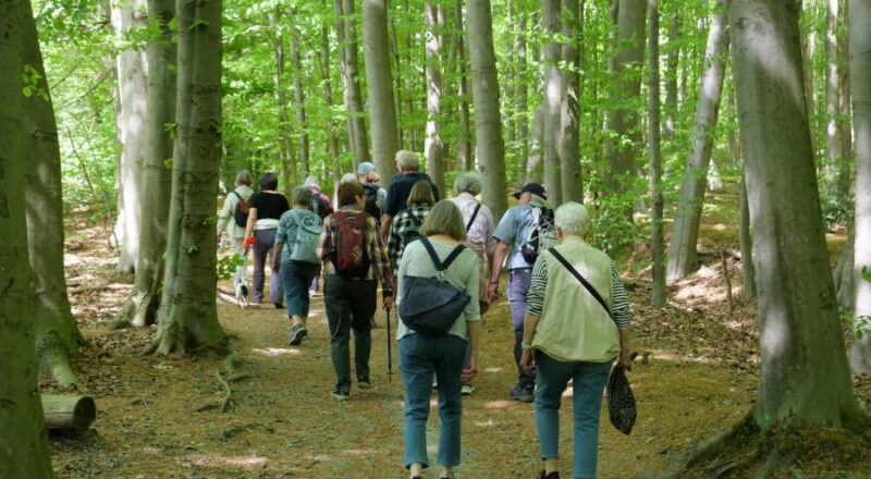 Die Wandergruppe des Heimatvereins unterwegs im Herforder Stadtforst. Foto: Heimatverein Leopoldshöhe