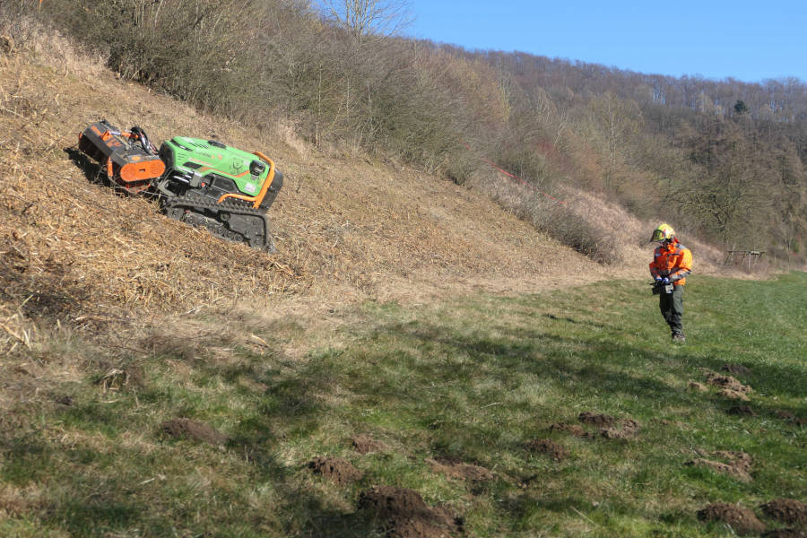 Magerrasenpflege mit einer Mulchraupe bei Lügde; Foto: Biologische Station Lippe
