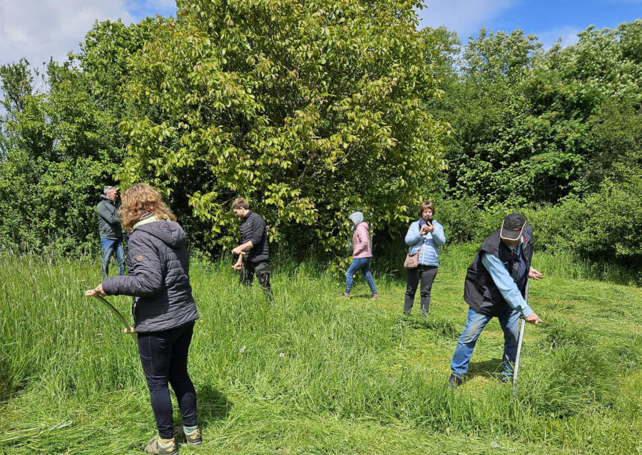 Beim Mäh- und Dengeln-Workshop lernten die Teilnehmerinnen und Teilnemer auch, wie Gras fachgerecht mit der Sense geschnitten wird. Foto: Privat