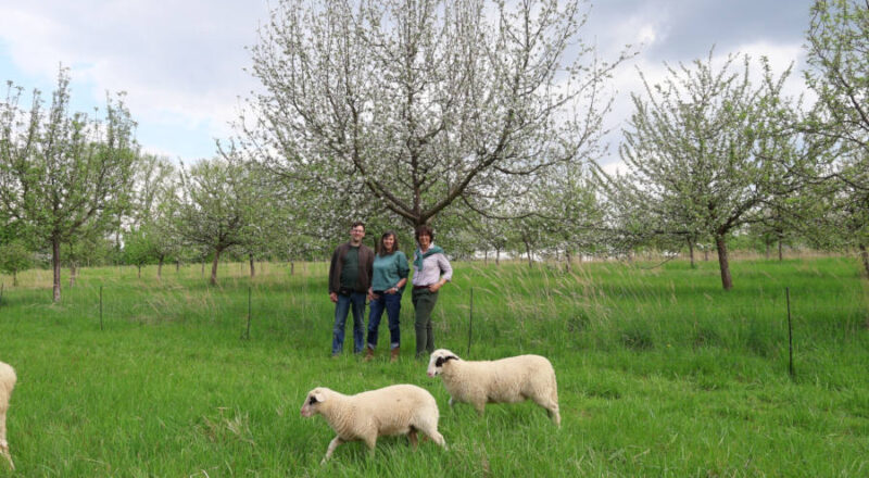 Christian Höing, Leiter der Landschaftsökologie im LWL-Freilichtmuseum (von links), Vanessa Kowarsch von der Biologischen Station Lippe und Isabelle Hugenberg von der Unteren Naturschutzbehörde des Kreises Lippe freuen sich über die Zusammenarbeit. Foto: LWL/Stefanie Horst
