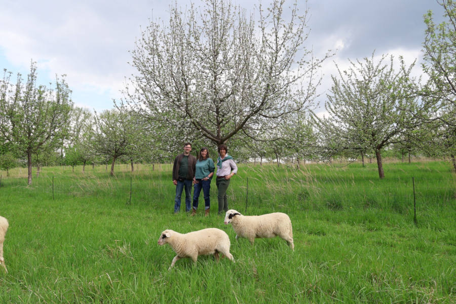 Christian Höing, Leiter der Landschaftsökologie im LWL-Freilichtmuseum (von links), Vanessa Kowarsch von der Biologischen Station Lippe und Isabelle Hugenberg von der Unteren Naturschutzbehörde des Kreises Lippe freuen sich über die Zusammenarbeit. Foto: LWL/Stefanie Horst