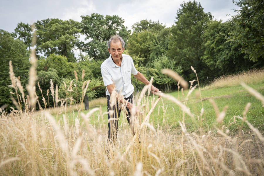 Mit geschärftem Sensenblatt gelingt der Grasschnitt. Foto: Heimatverein Leopoldshöhe