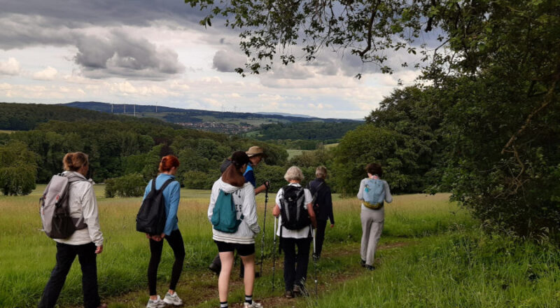 Die Wandergruppe unterwegs auf der vierten Etappe des Hansaweges. Foto: Kreis Lippe