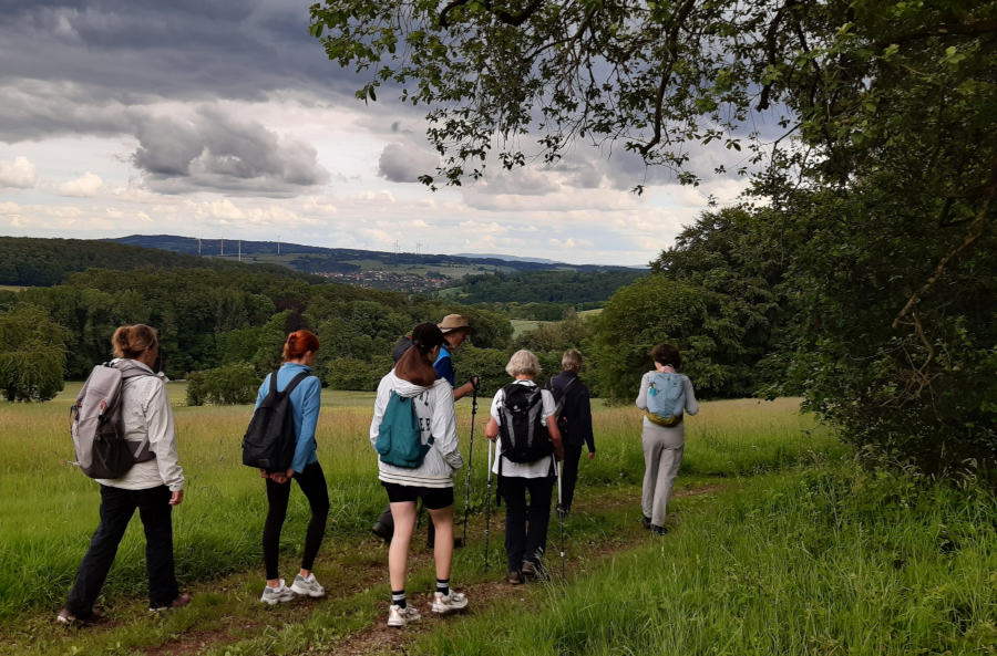Die Wandergruppe unterwegs auf der vierten Etappe des Hansaweges. Foto: Kreis Lippe