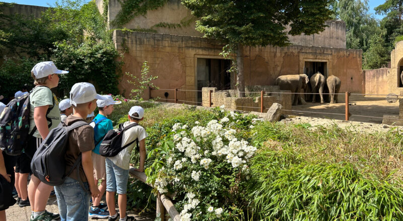 Unterricht im Zoo