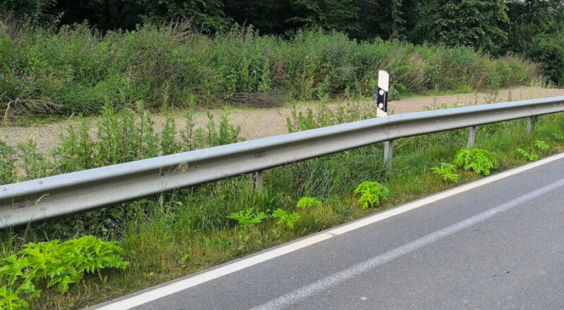 Herkulesstauden an der Heipker Straße. Foto: NABU Leopoldshöhe