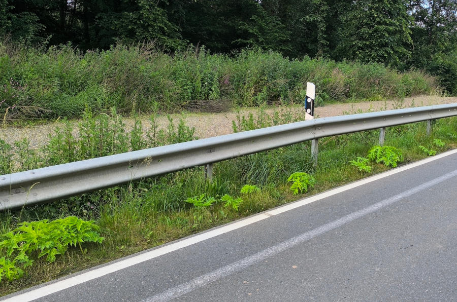 Herkulesstauden an der Heipker Straße. Foto: NABU Leopoldshöhe