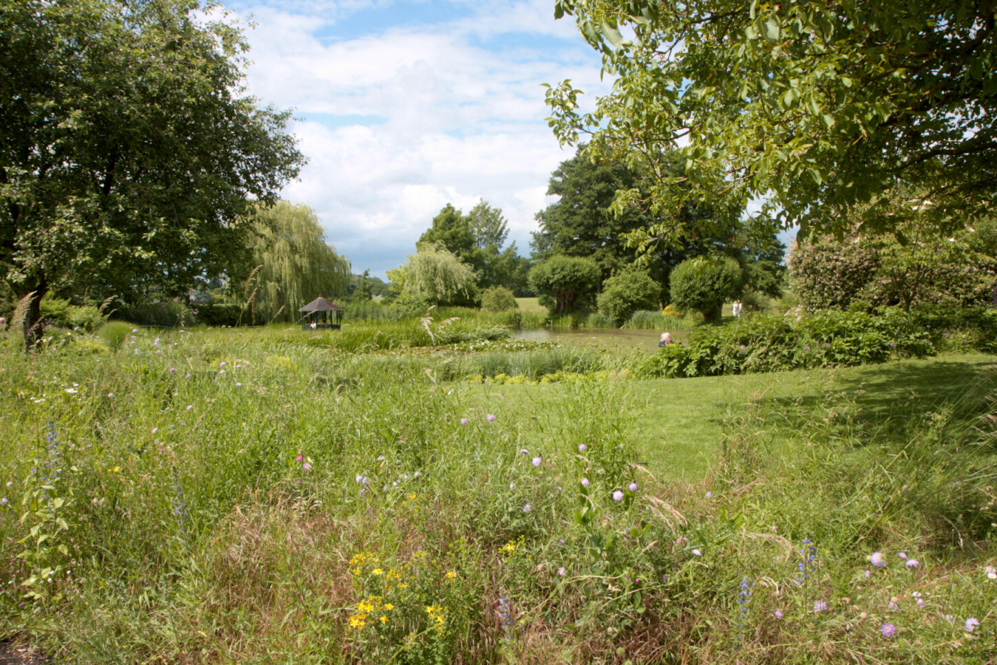 Der weitläufige Garten der Asemissens ist geprägt von einem Teich und vielen hohe Gräsern. Foto: Thomas Dohna