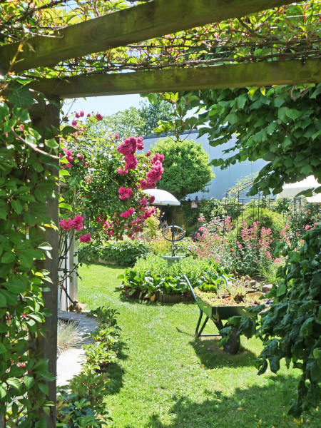 Ein Blick durch den Garten. Die Industriehalle im Hintergrund fällt kaum auf. Foto: Martin Düsterberg