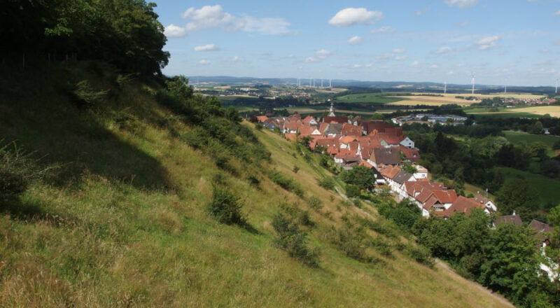 Rund um die Burg Schwalenberg lässt sich die Landschaftsgeschichte entdecken. Foto: Biologische Station Lippe