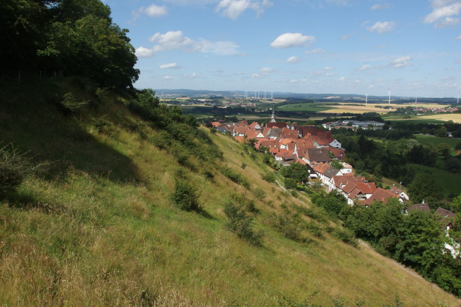 Rund um die Burg Schwalenberg lässt sich die Landschaftsgeschichte entdecken. Foto: Biologische Station Lippe
