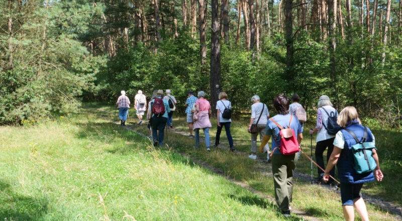 Martin Düsterberg vom Heimatverein Leopoldshöhe führt die Wanderung durch die Wistinghauser Senne. Foto: Martin Düsterberg