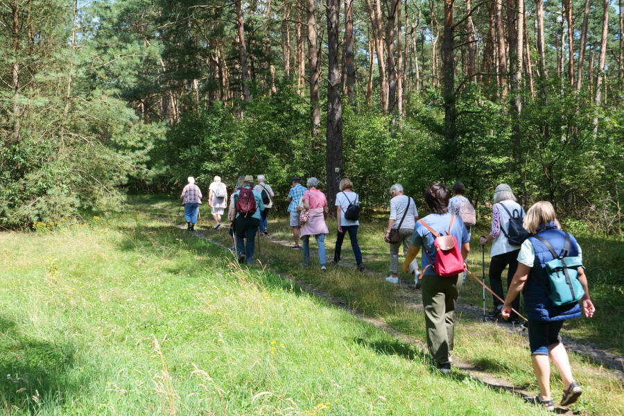 Martin Düsterberg vom Heimatverein Leopoldshöhe führt die Wanderung durch die Wistinghauser Senne. Foto: Martin Düsterberg