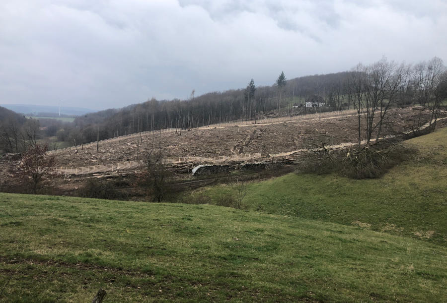 Blick auf die kahle Fläche im Jahr 2021.