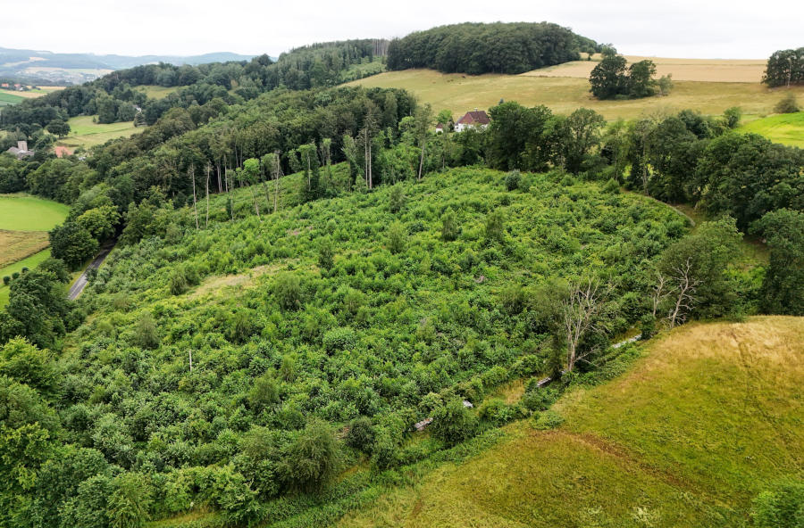 Aktuelle Drohnenaufnahme des Bienenwalds aus 2026. Fotos: LVL