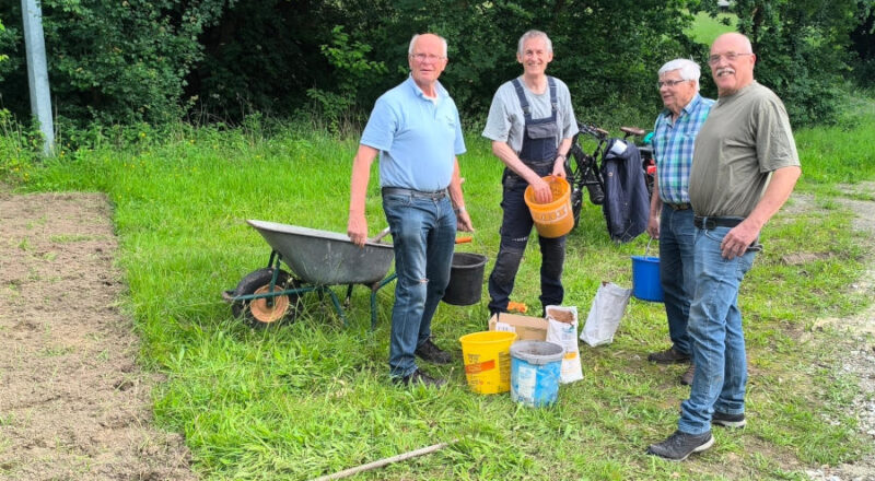 Bütenpracht auf dem ehemaligen Grester Sportplatz