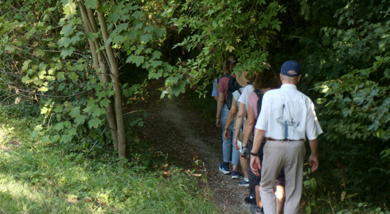 Pilgern zum Sternpunkt