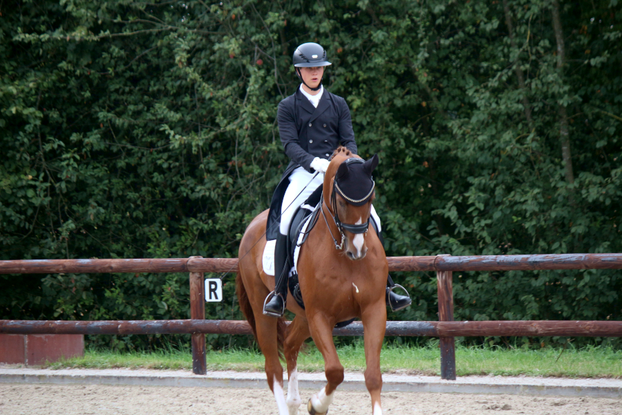 Tom Friedl legt auf Bruno bei den Schuckenbaum Outdoors seine Prüfung ab. Foto: Thomas Dohna