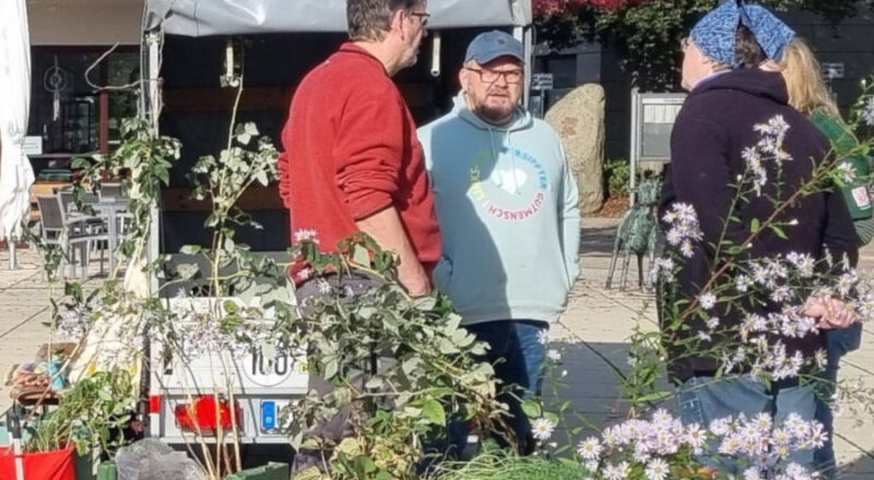Fachgespräche bei der Pflanzenbörse auf dem Marktplatz. Foto: Privat